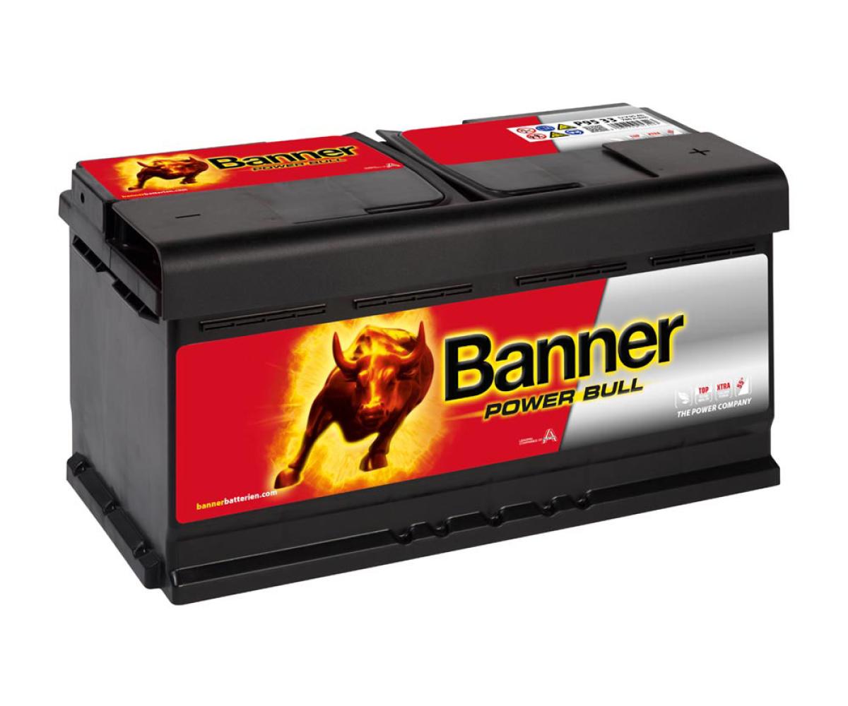 Banner Power Bull  12V 95Ah / P95 33